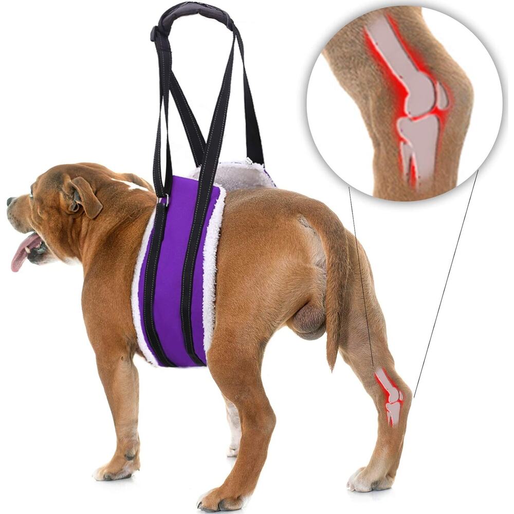 Bolux Dog Recovery Sling Sz Large Harness Assist Support Lift Strap Padded Bag